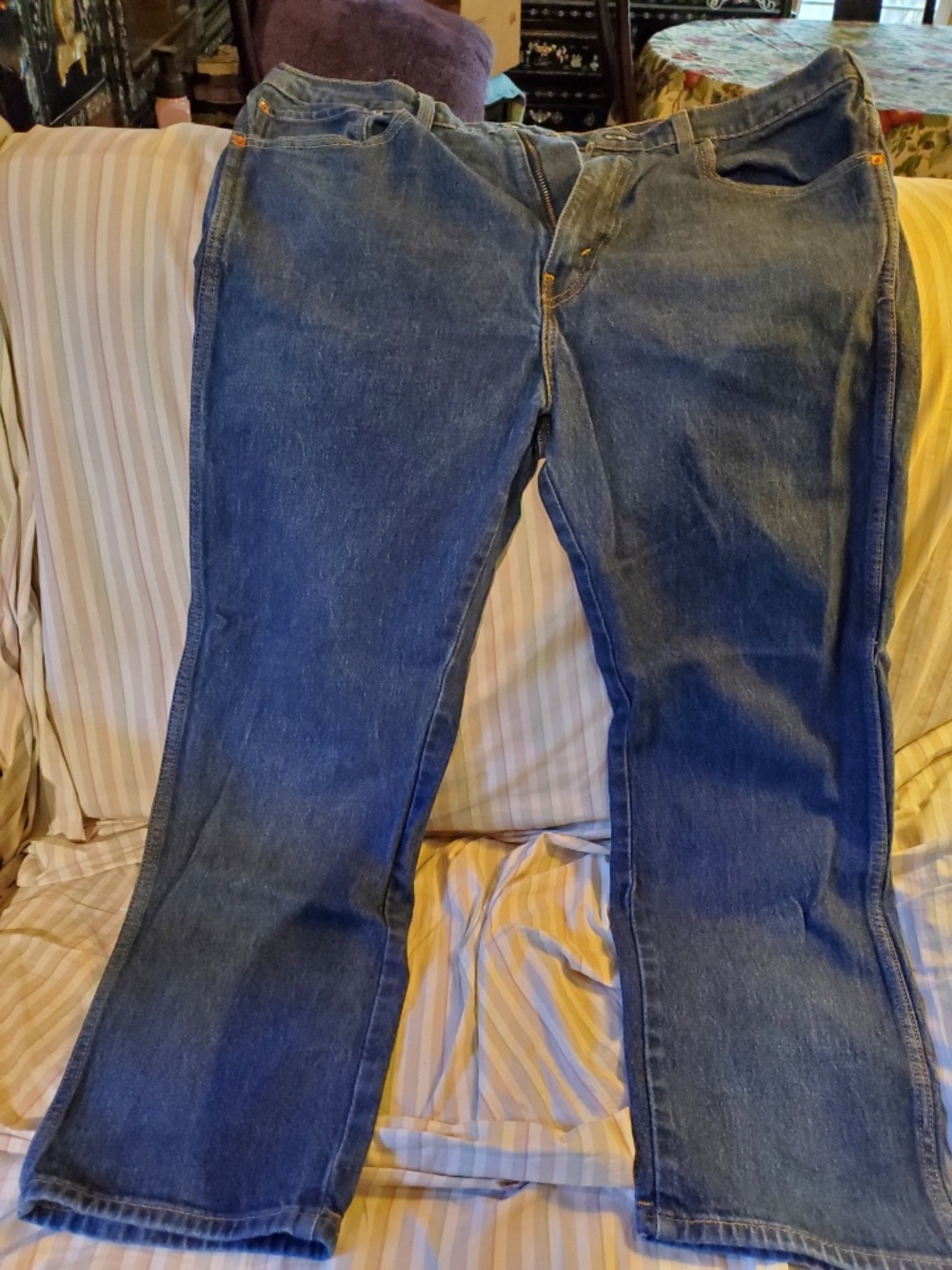Levi - Picture 3 of 5